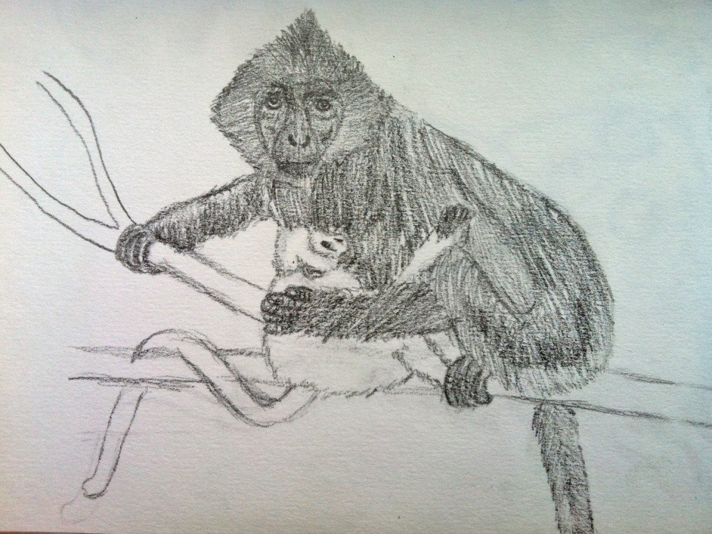 langur