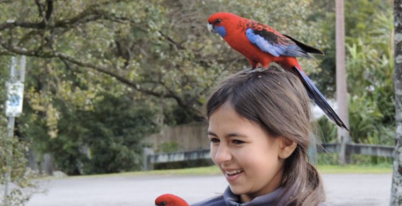 Screen Shot 2015-11-14 at 15.22.28