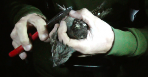 Screen Shot 2018-08-07 at 17.36.56