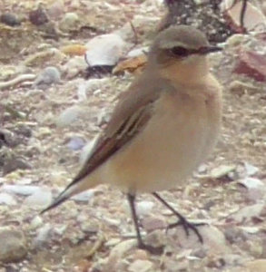 Screen Shot 2018-09-21 at 15.41.36