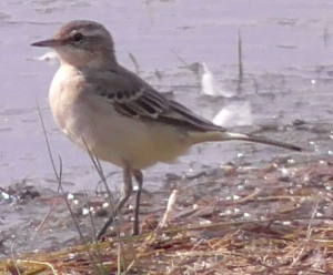 Screen Shot 2018-09-24 at 19.04.49