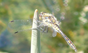 Screen Shot 2018-09-24 at 19.09.38