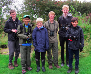 Screen Shot 2018-10-01 at 16.33.31