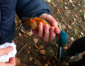 Screen Shot 2018-10-30 at 14.01.52