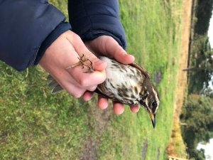 00B226BF-B52D-4D78-BC8E-1844613914EE