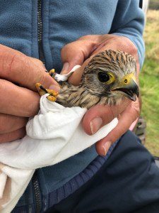 D896F893-6D73-4E7D-84B5-10D0D0A23A87