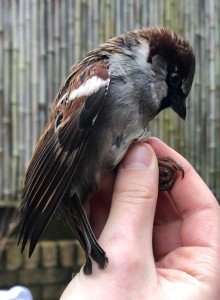 37997EBD-5EE0-4C36-8AA4-A1E02D67EFD9