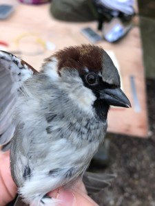 D9CAA453-AE2E-4E31-A585-72B964516606