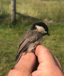 D7958339-A5DB-41B4-BFB1-6DB3DB81A467