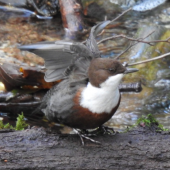 Screen-Shot-2019-11-11-at-18.17.13