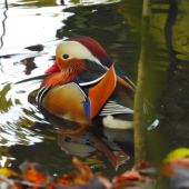 Screen-Shot-2019-11-11-at-18.19.54