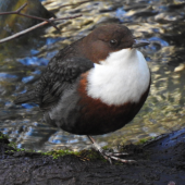 Screen-Shot-2019-11-11-at-18.22.04