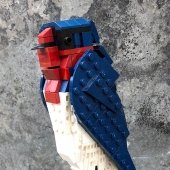SWALLOW