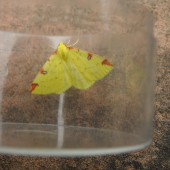 Screen-Shot-2019-06-01-at-18.54.21